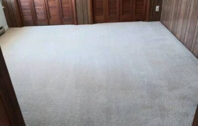 stubborn carpet stains